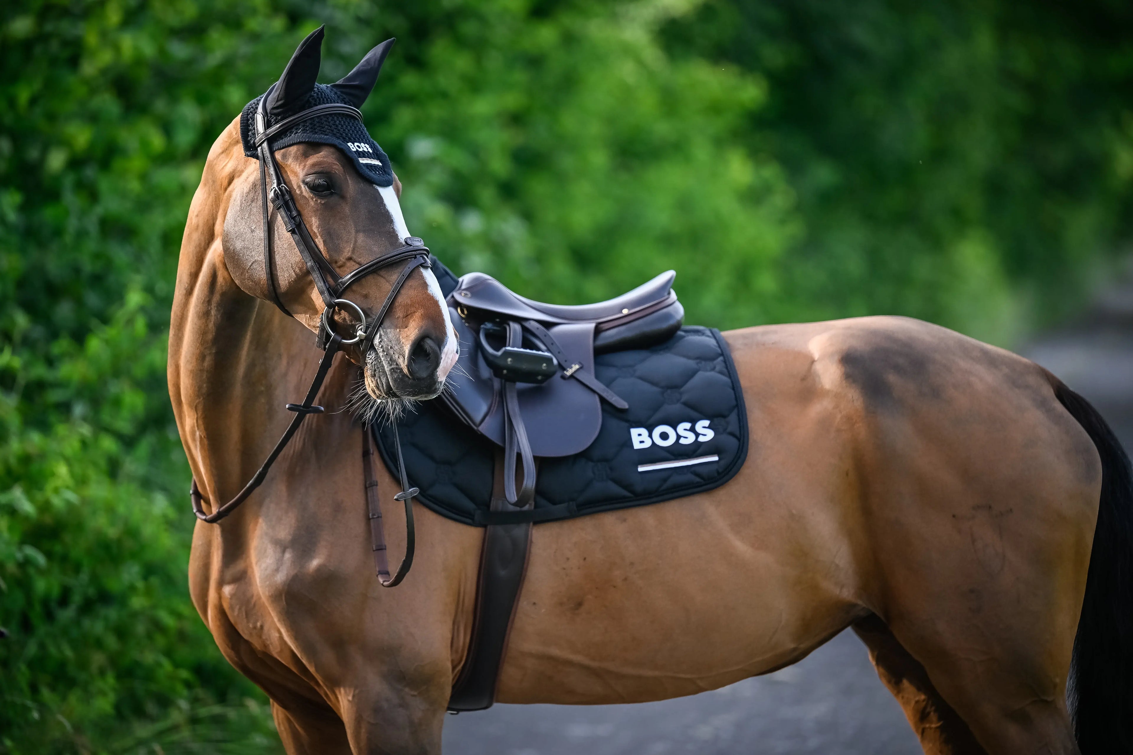 Cheltenham Saddle Pad Jump Tape