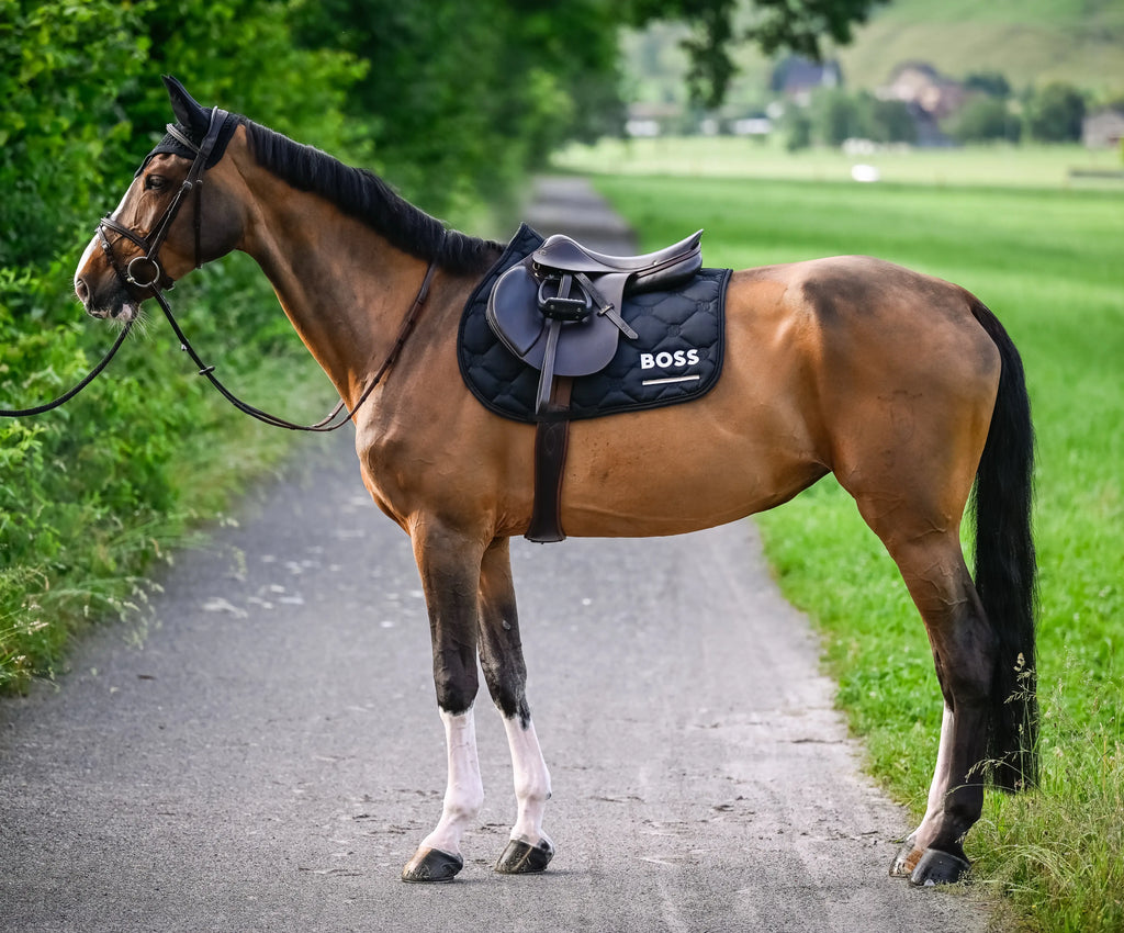 Cheltenham Saddle Pad Jump Tape