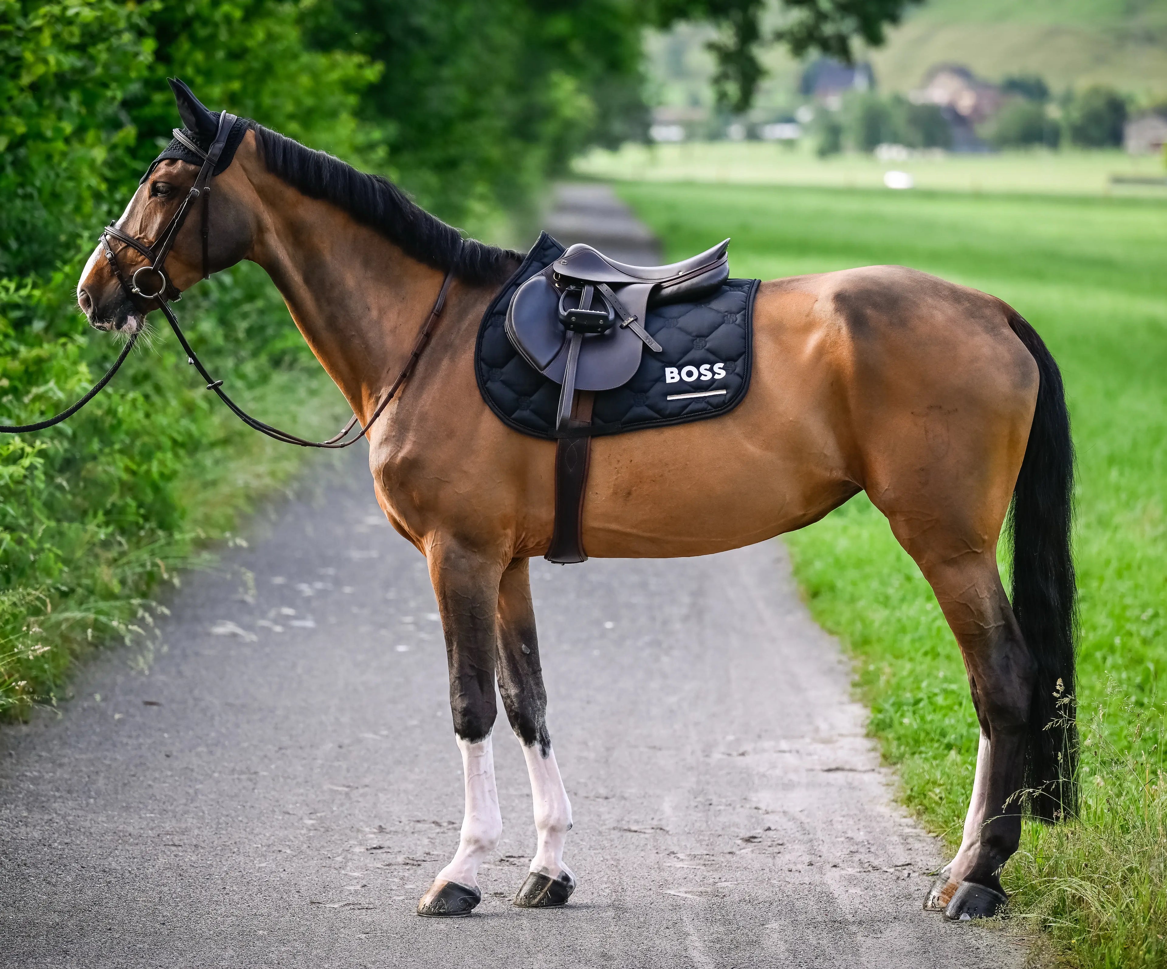 Cheltenham Saddle Pad Jump Tape
