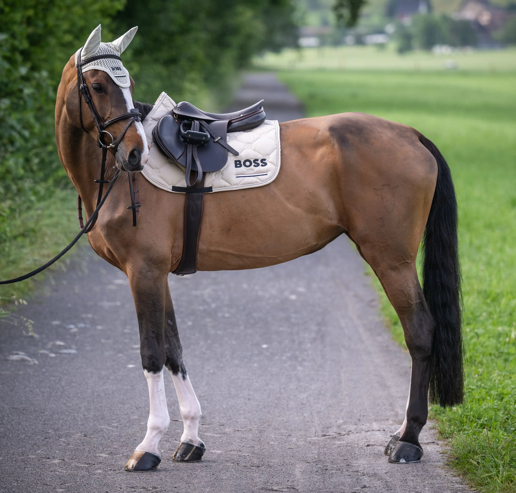 Cheltenham Saddle Pad Jump Tape