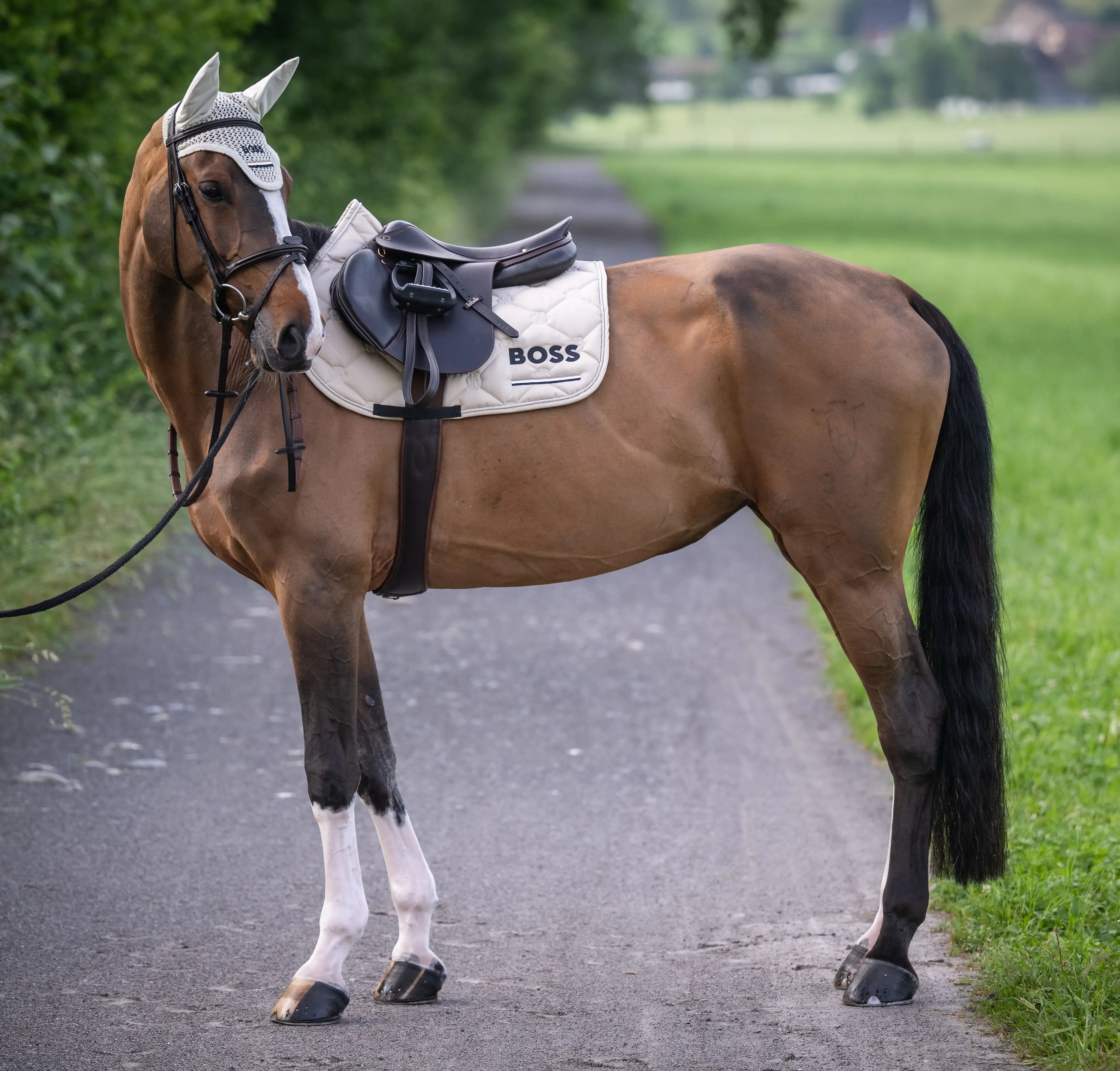 Cheltenham Saddle Pad Jump Tape