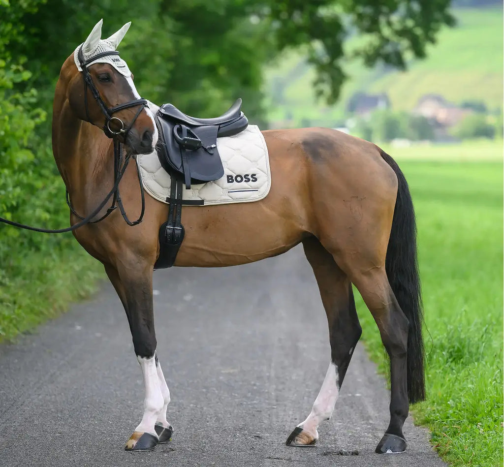 Cambridge Saddle Pad Dressage Tape