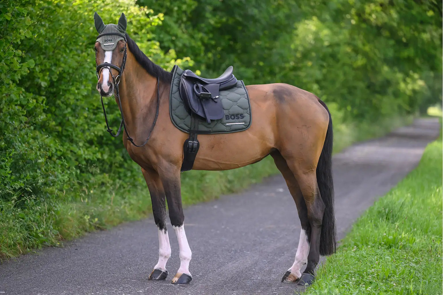 Cambridge Saddle Pad Dressage Tape