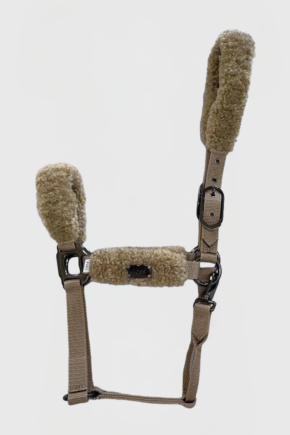 Camel | Santiago Halter, front